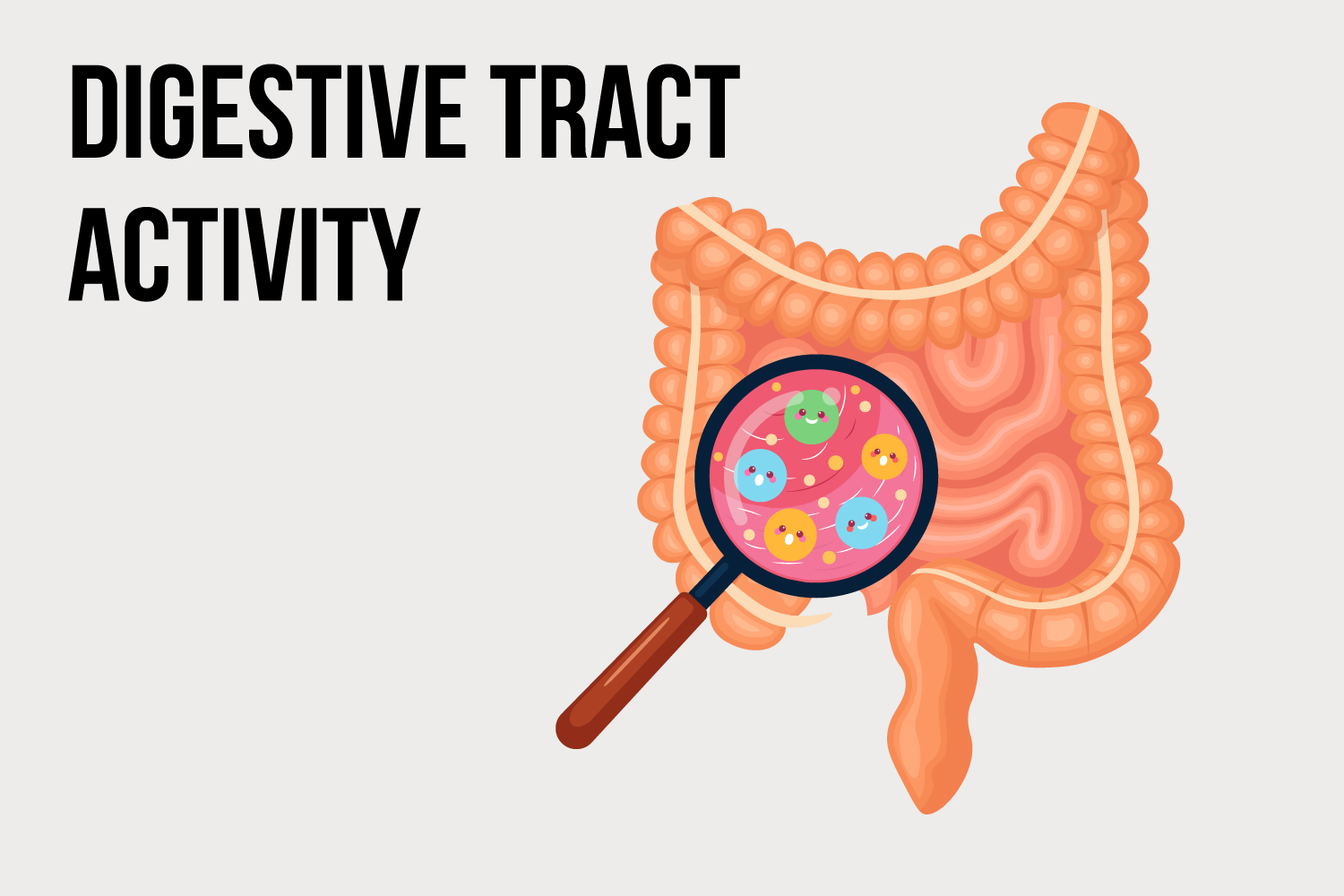 Digestive-Tract-Activity