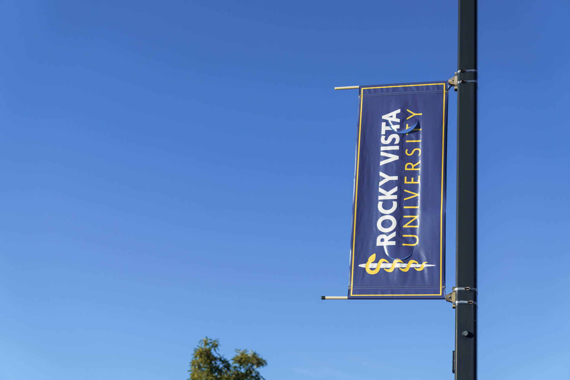 Rocky Vista University sidewalk flag