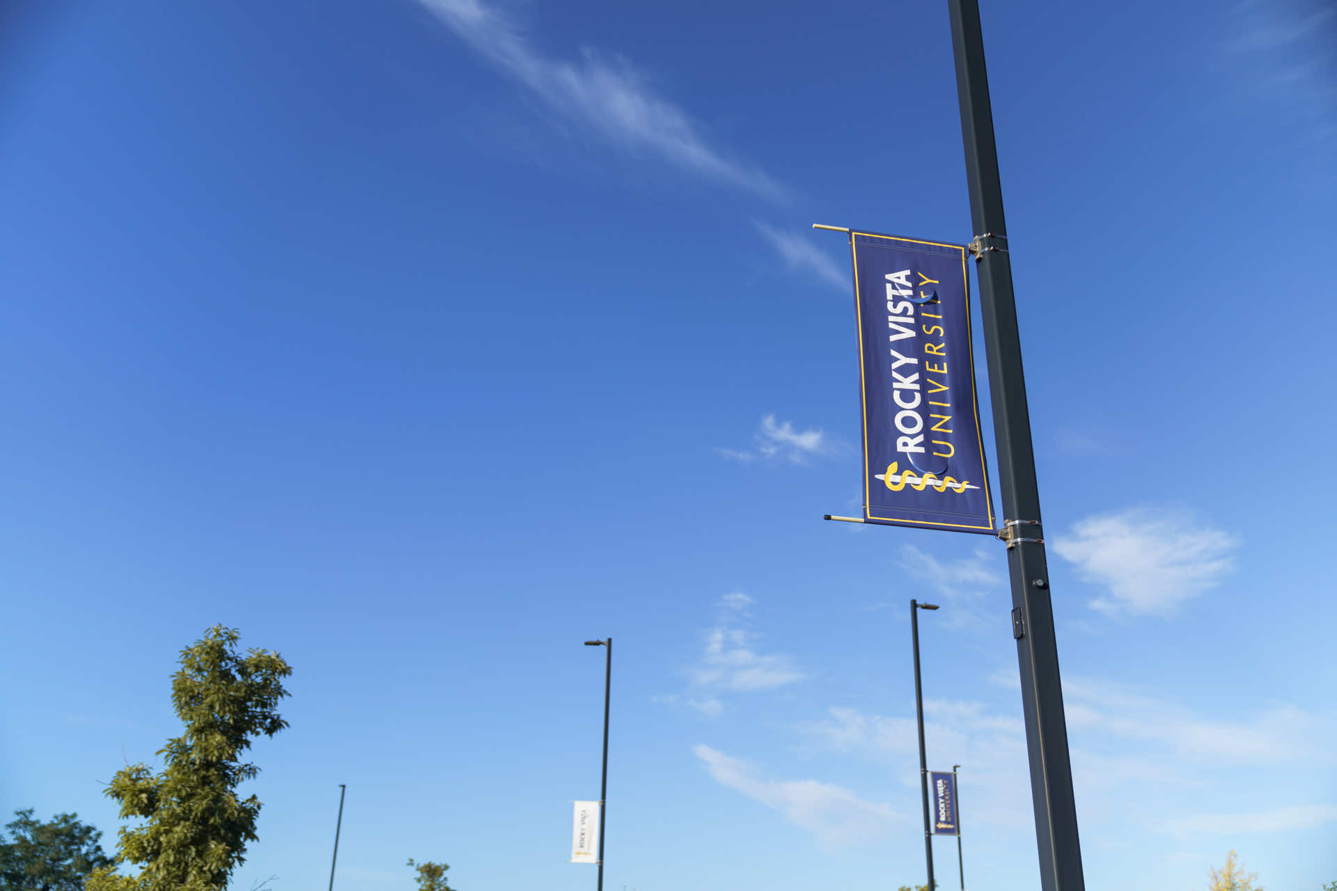 RVU flags outside